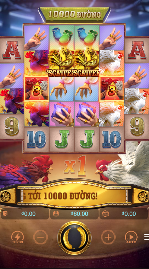 Aniamls Slot Game 3. Rooster Rumble - X20000