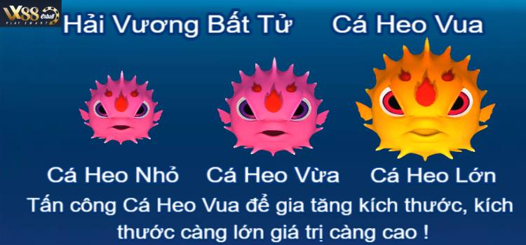 Hải Vương Bất Tử - Cá Heo Vua