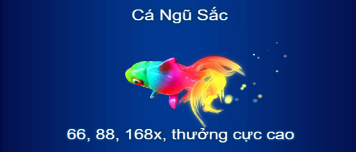 Cá Ngũ Sắc