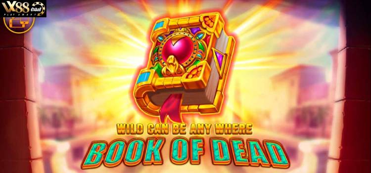 R88 Book Of Dead Slot Game