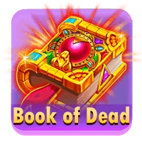 R88 Book Of Dead Slo