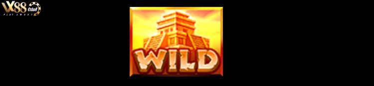 Biểu tượng Wild